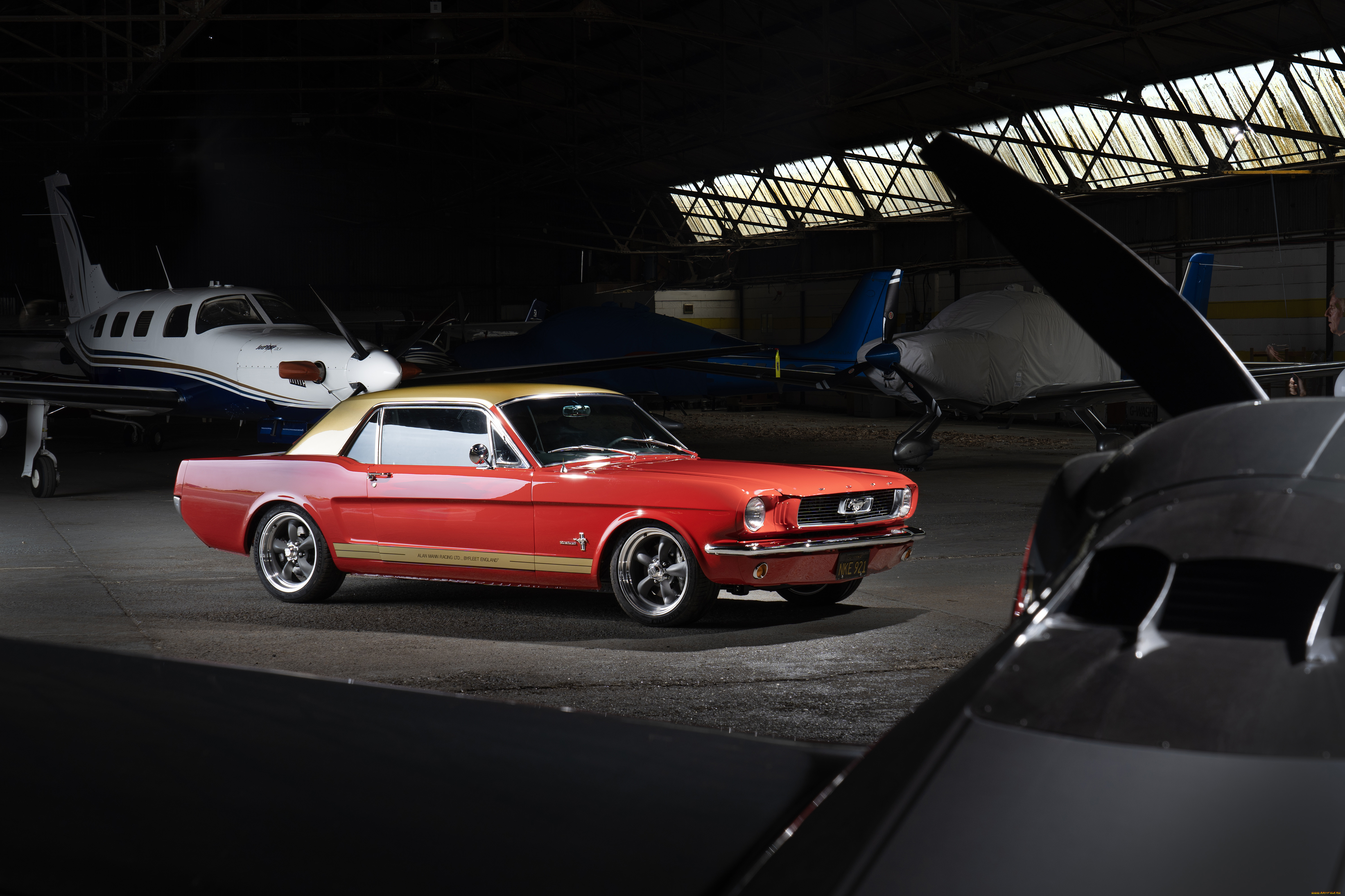 , mustang
